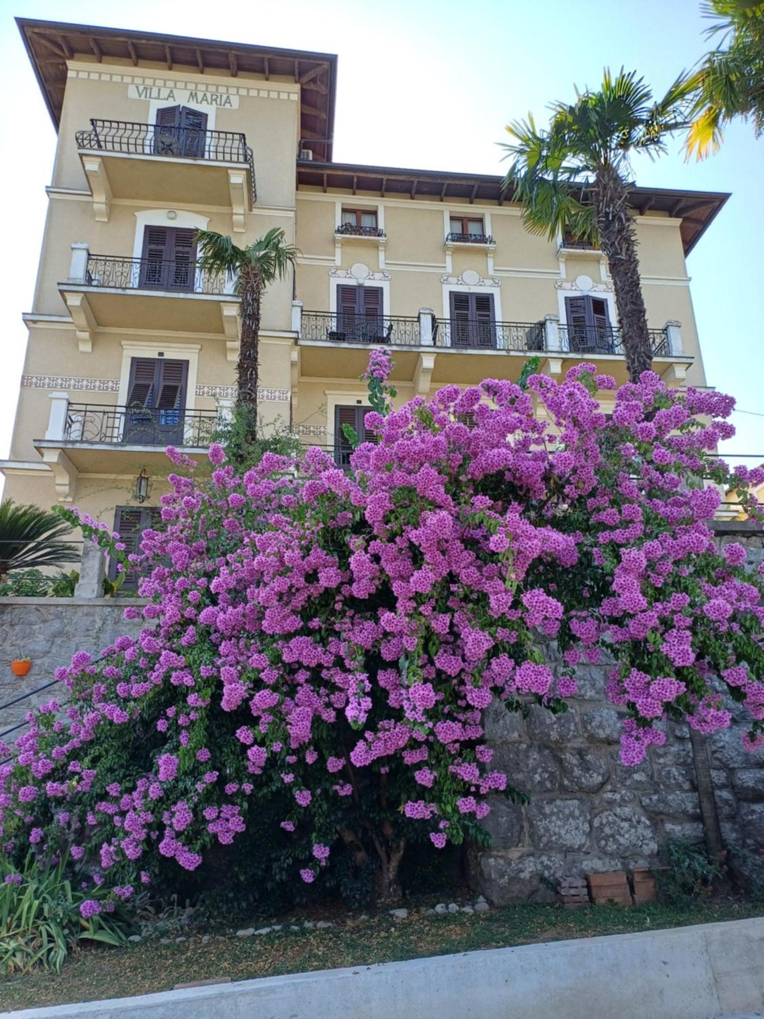 Villa Marija Lovran Εξωτερικό φωτογραφία